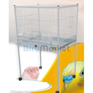 Κλούβα  Νέου Τύπου 